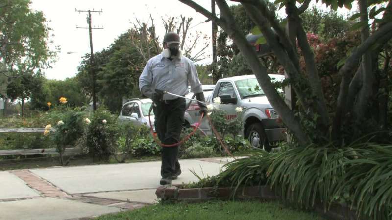 Hospital and Healthcare Facility Pest Management